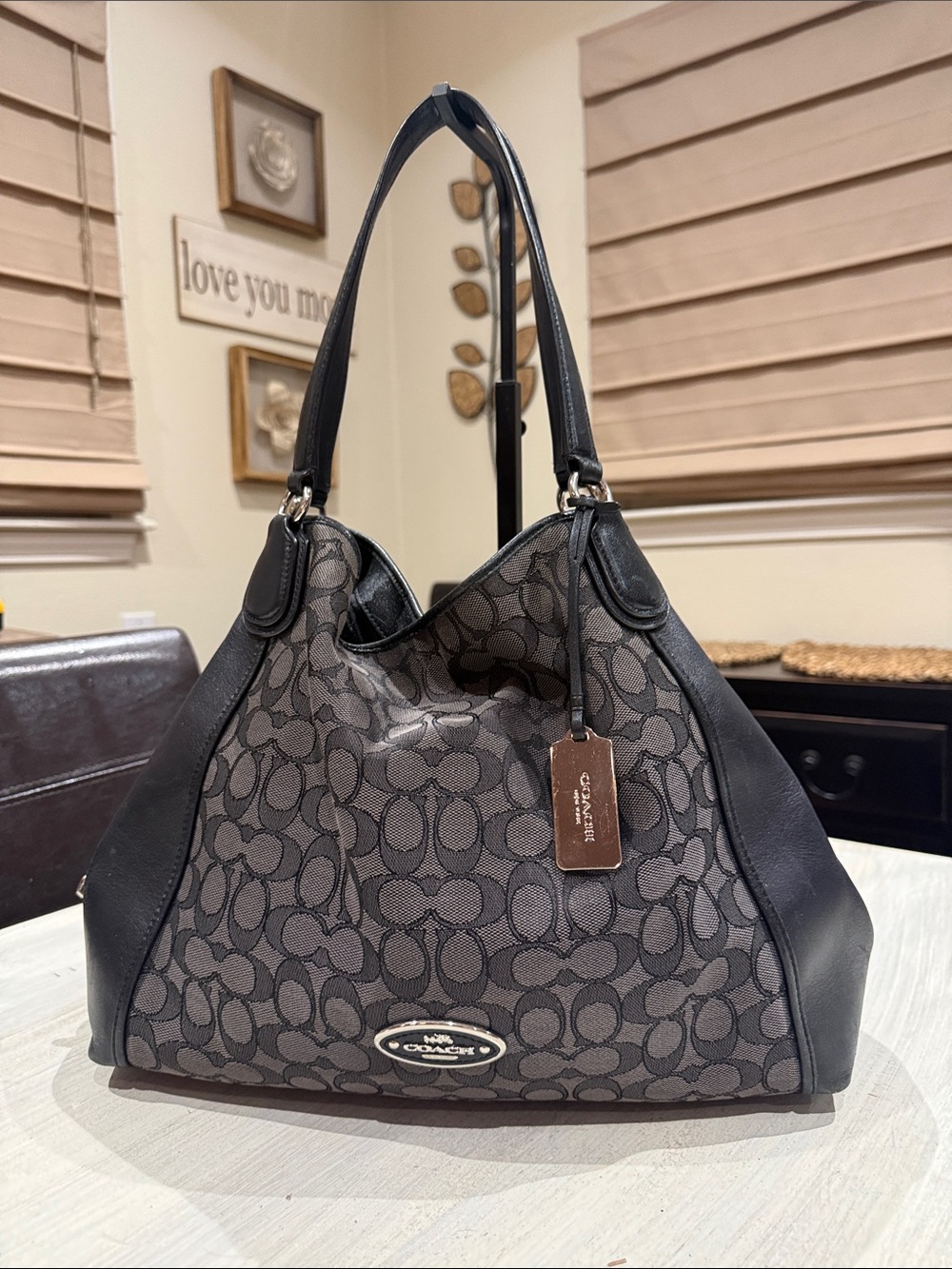Coach Eidie 31 Signature Canvas Shoulder Bag